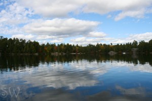 Fishing for Reflections